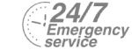 24/7 Emergency Service Pest Control in Totteridge, Whetstone, N20. Call Now! 020 8166 9746