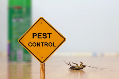 Pest Contol in Totteridge, Whetstone, N20. Call Now 020 8166 9746